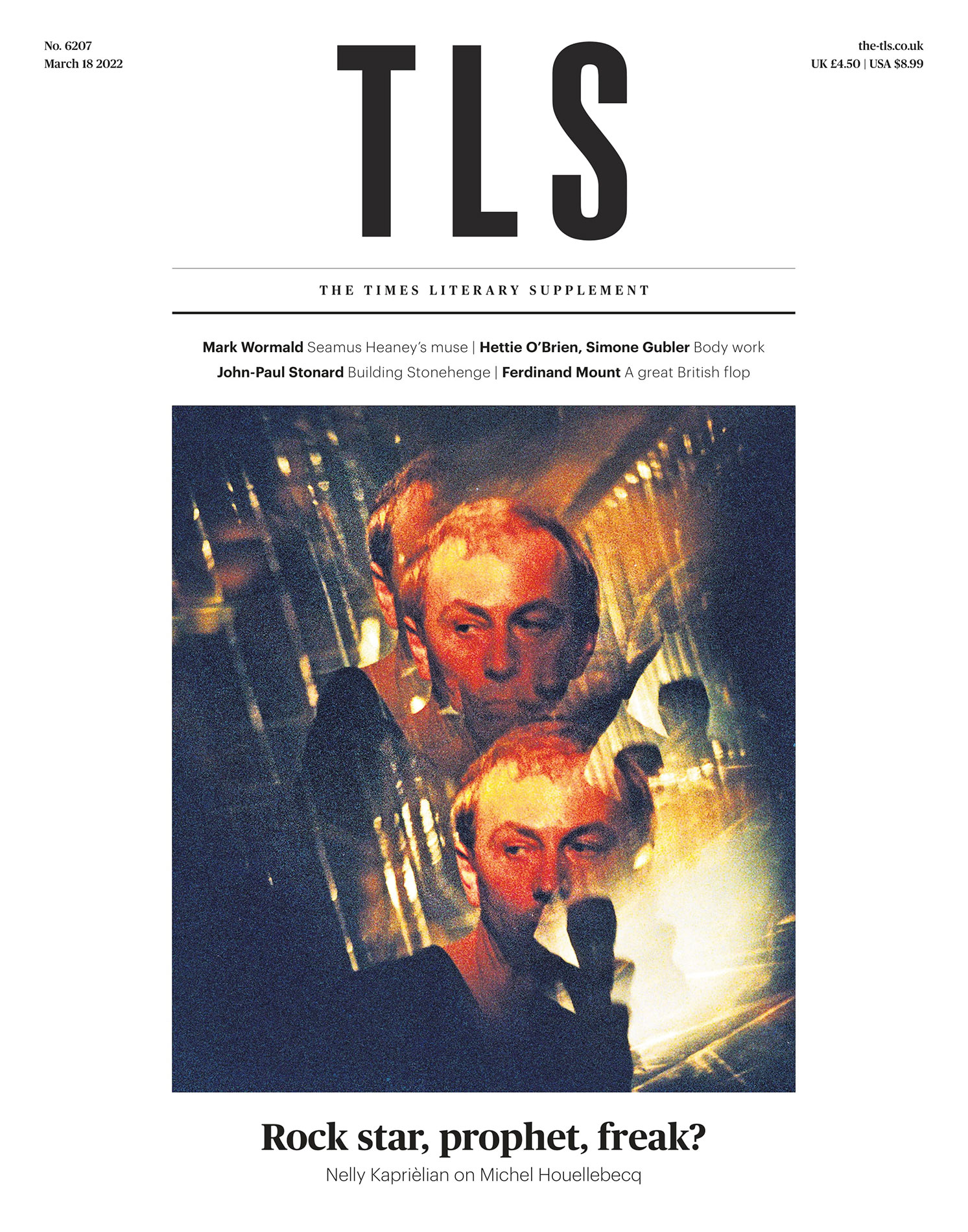 French Braid by Anne Tyler book review The TLS