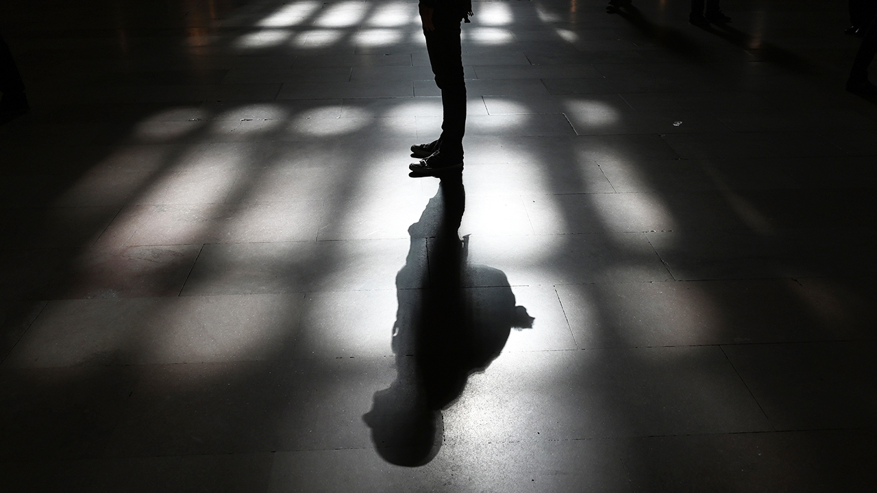 Exiled Shadow by Norman Manea | Book review | The TLS