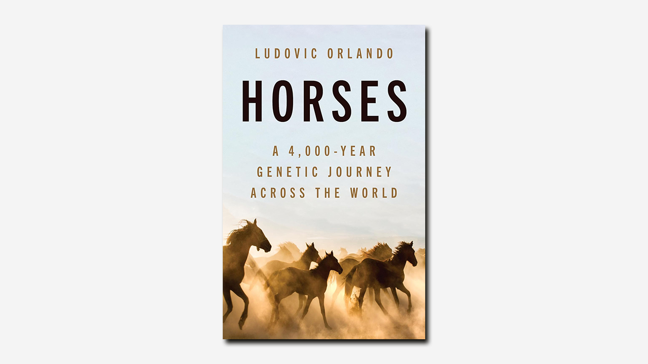 Horses by Ludovic Orlando | Book review | The TLS
